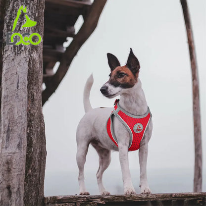 DOCO NET Mesh Sport Harness Medium-41-44cm / 4.5-7kg-Maroon