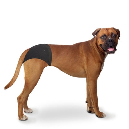 Duvo+ Dog Pants M 32 - 39cm