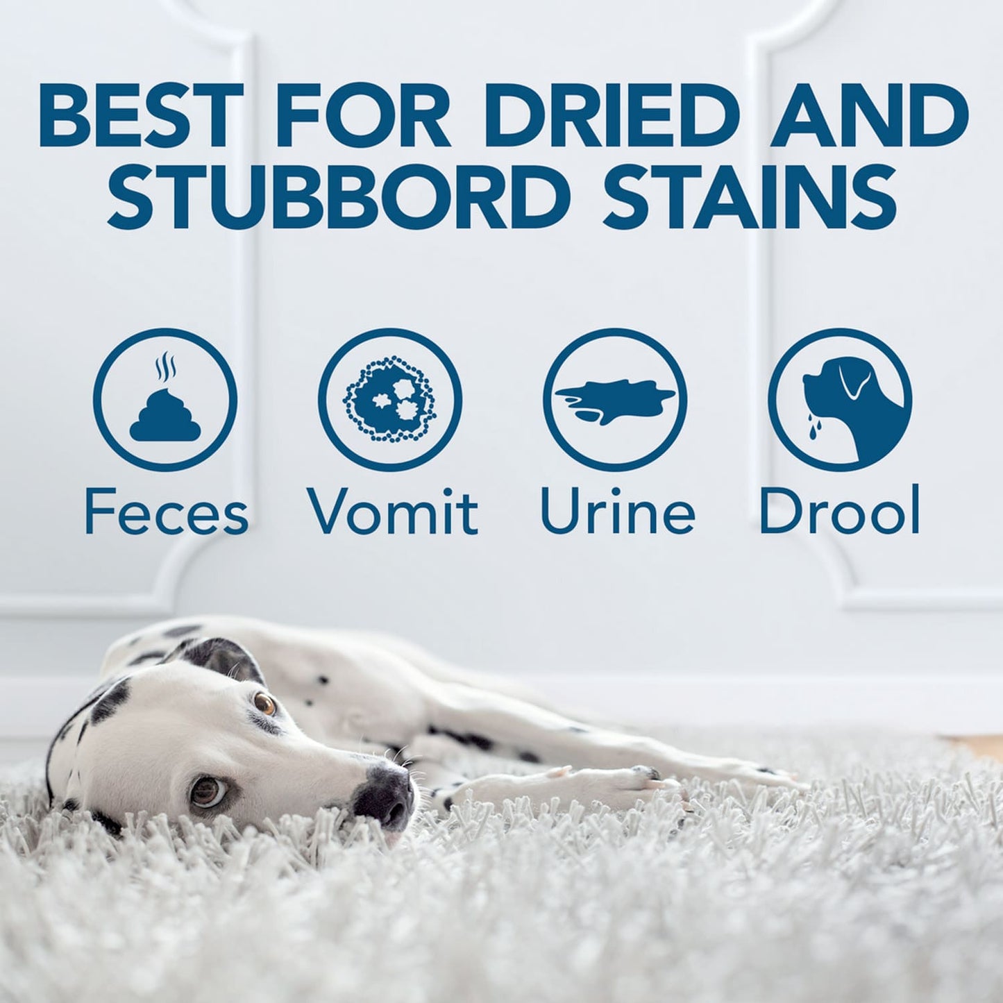 Simple Solution Oxy Charged Pet Stain and Odor Remover - 945ml
