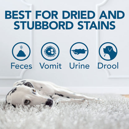 Simple Solution Oxy Charged Pet Stain and Odor Remover - 945ml