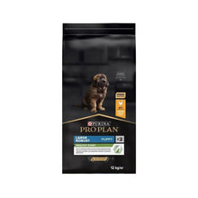 Purina Pro Plan Healthy Start Large Robust Puppy with Chicken Dry Dog Food - 12 Kg