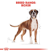 Royal Canin Breed Health Nutrition Boxer Adult 12 KG
