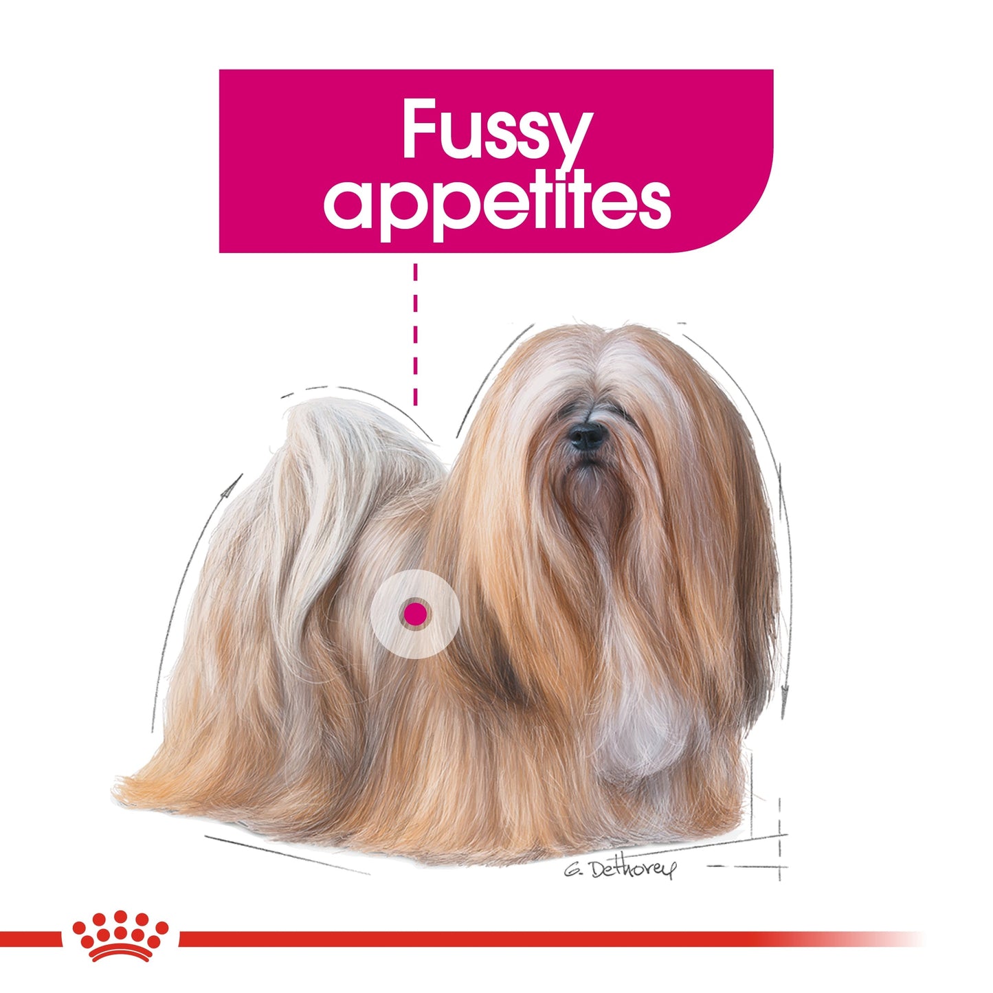 Royal Canin Canine Care Nutrition Exigent Mini 3 kg
