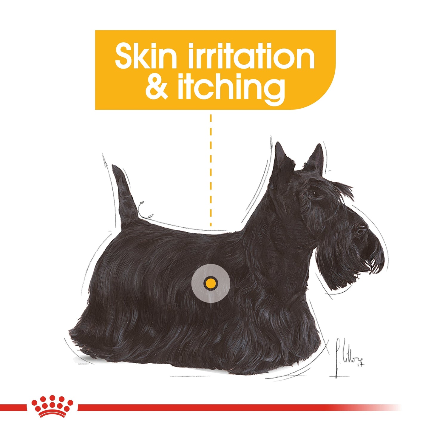 Royal Canin Canine Care Nutrition Dermacomfort (Wet Food - Pouches) 12 x 85 g