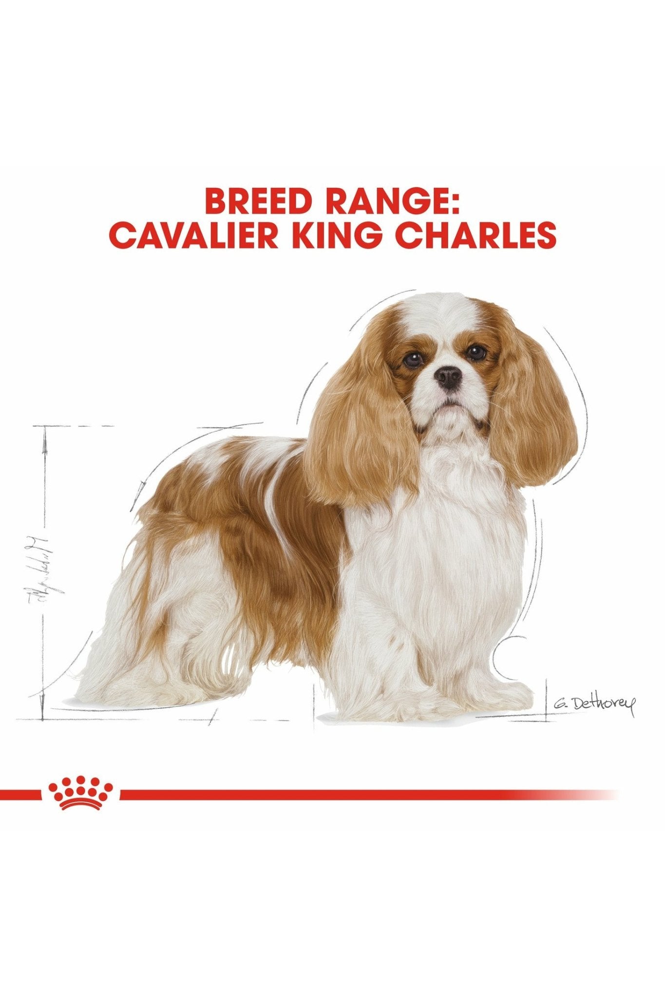 Royal Canin Breed Health Nutrition Cavalier King Charles Adult 1.5 kg