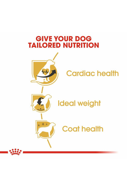 Royal Canin Breed Health Nutrition Cavalier King Charles Adult 1.5 kg