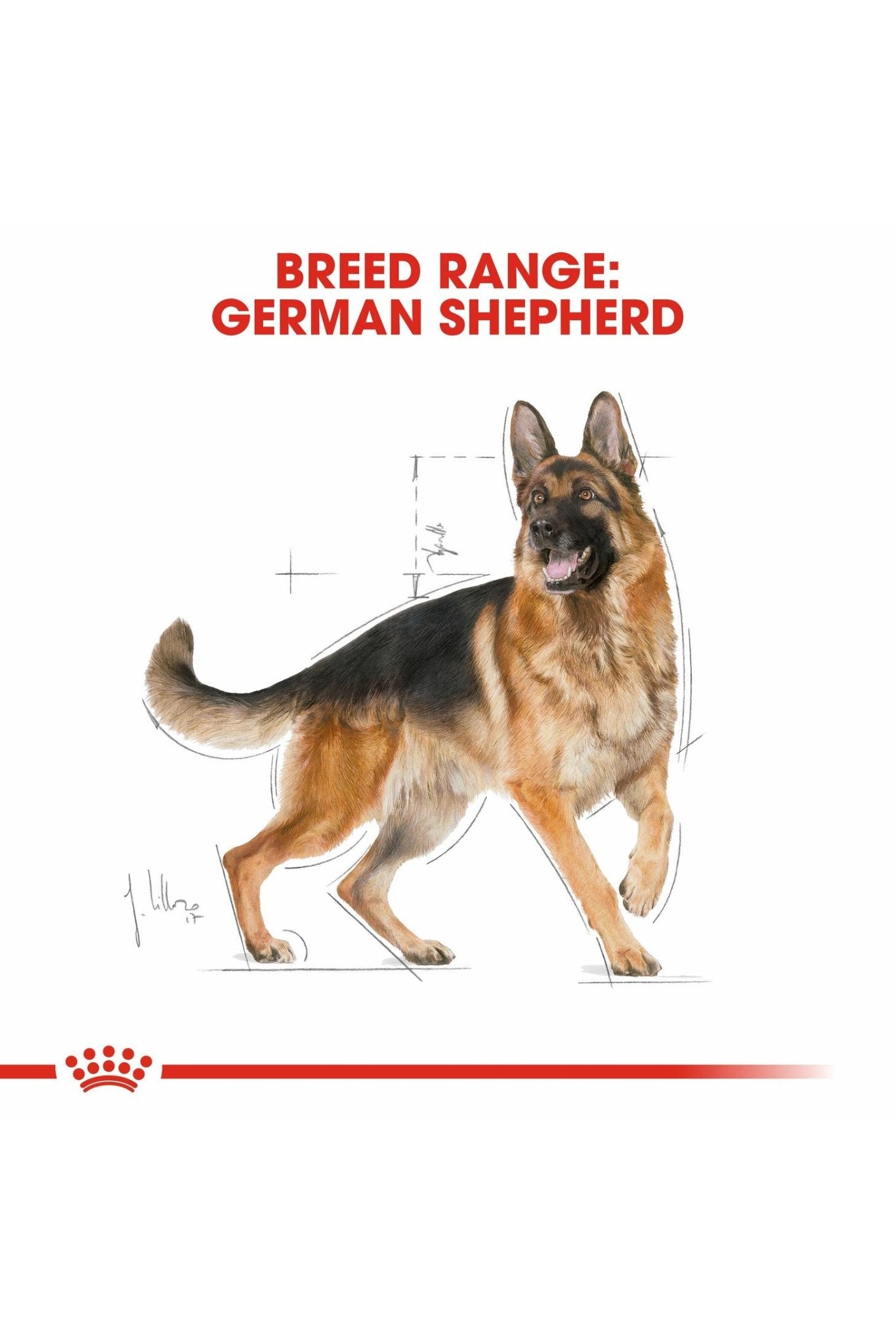 Royal Canin Breed Health Nutrition German Shepherd Adult 3 kg