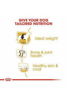 Royal Canin Breed Health Nutrition Labrador Adult 3 kg