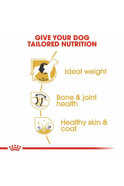 Royal Canin Breed Health Nutrition Labrador Adult 3 kg