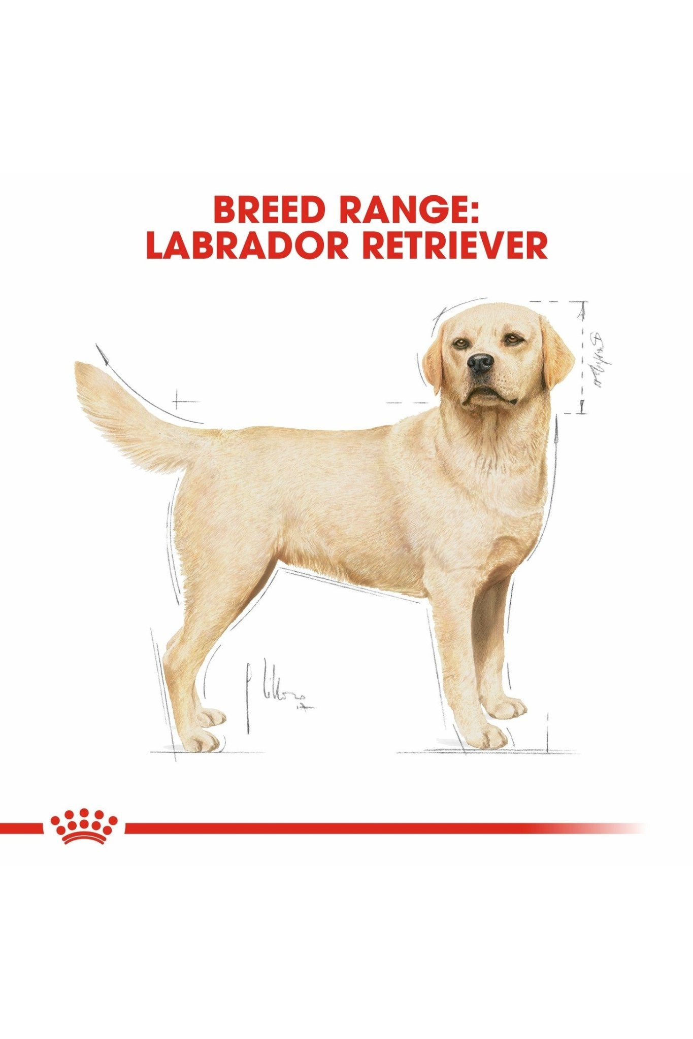 Royal Canin Breed Health Nutrition Labrador Adult 3 kg