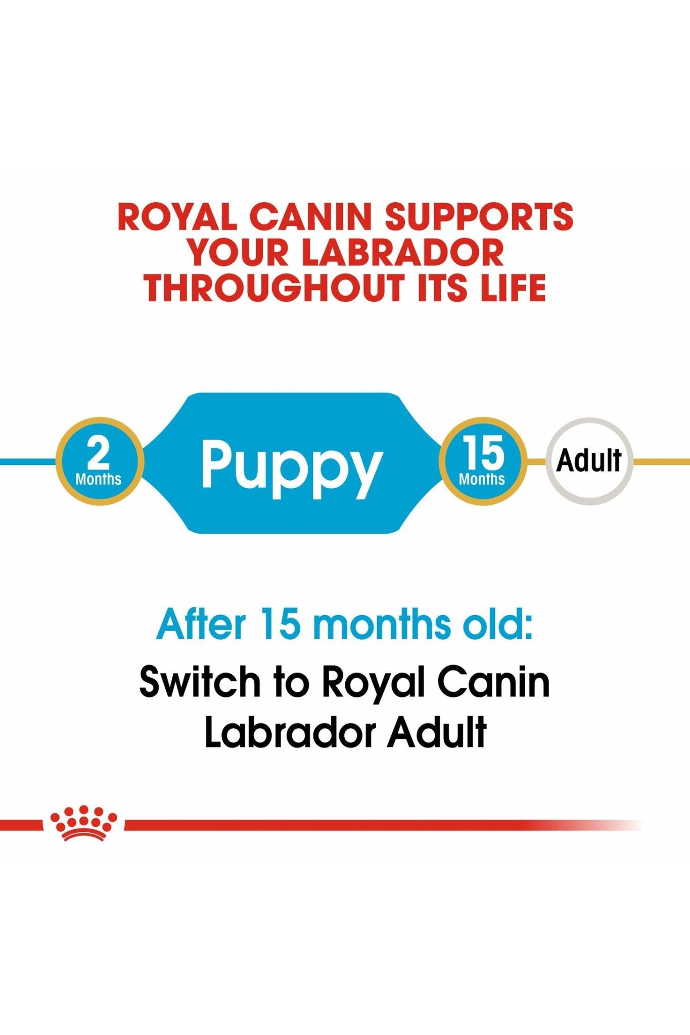 Royal Canin Breed Health Nutrition Labrador Puppy 3 kg