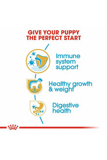 Royal Canin Breed Health Nutrition Labrador Puppy 3 kg