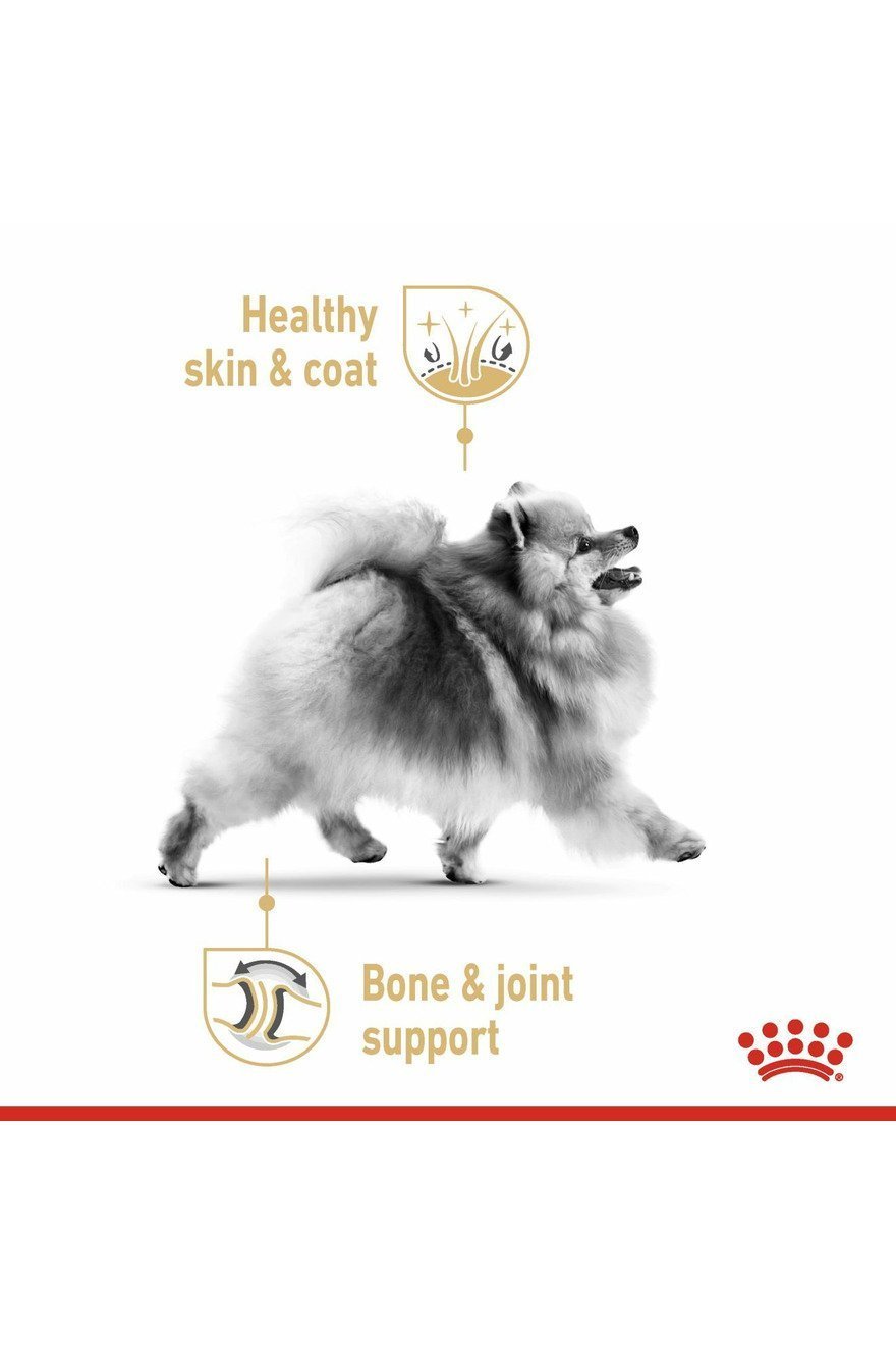 Royal Canin Breed Health Nutrition Pomeranian (Wet Food - Pouches) 12 x 85 g