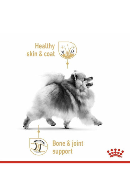 Royal Canin Breed Health Nutrition Pomeranian (Wet Food - Pouches) 12 x 85 g