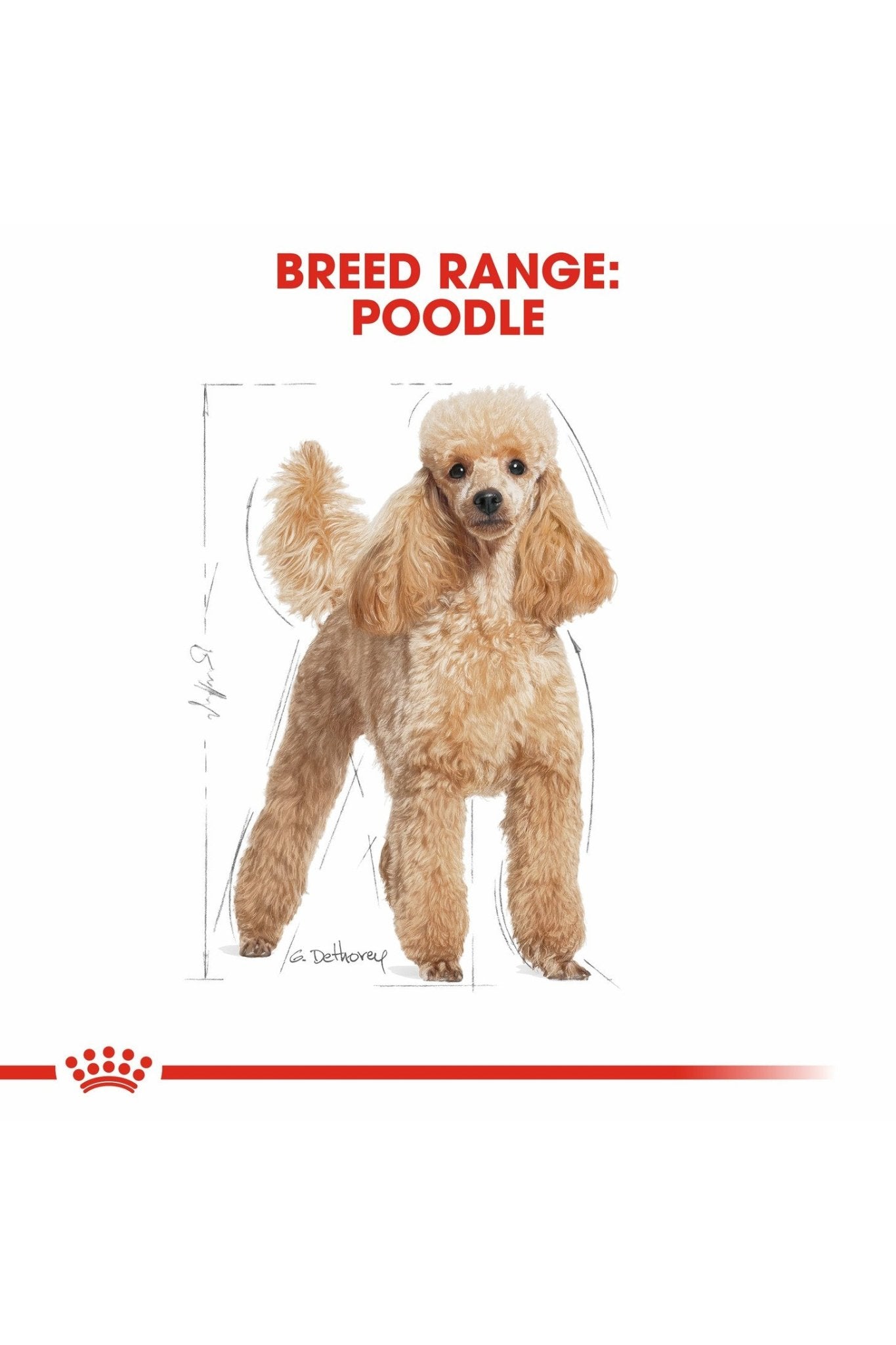 Royal Canin Breed Health Nutrition Poodle Adult (Wet Food - Pouches) 12 x 85 g