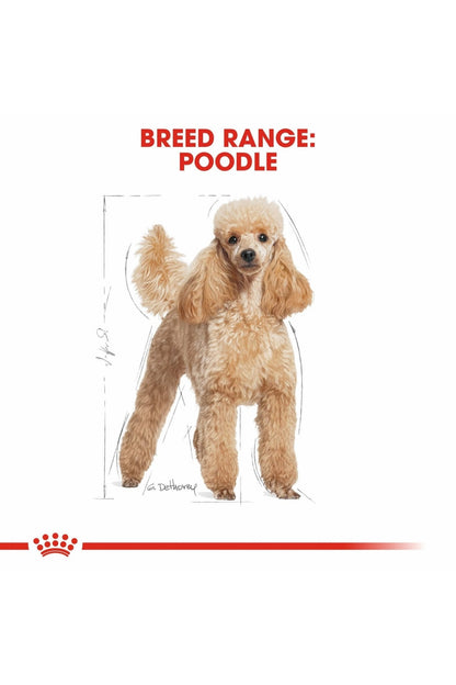 Royal Canin Breed Health Nutrition Poodle Adult (Wet Food - Pouches) 12 x 85 g