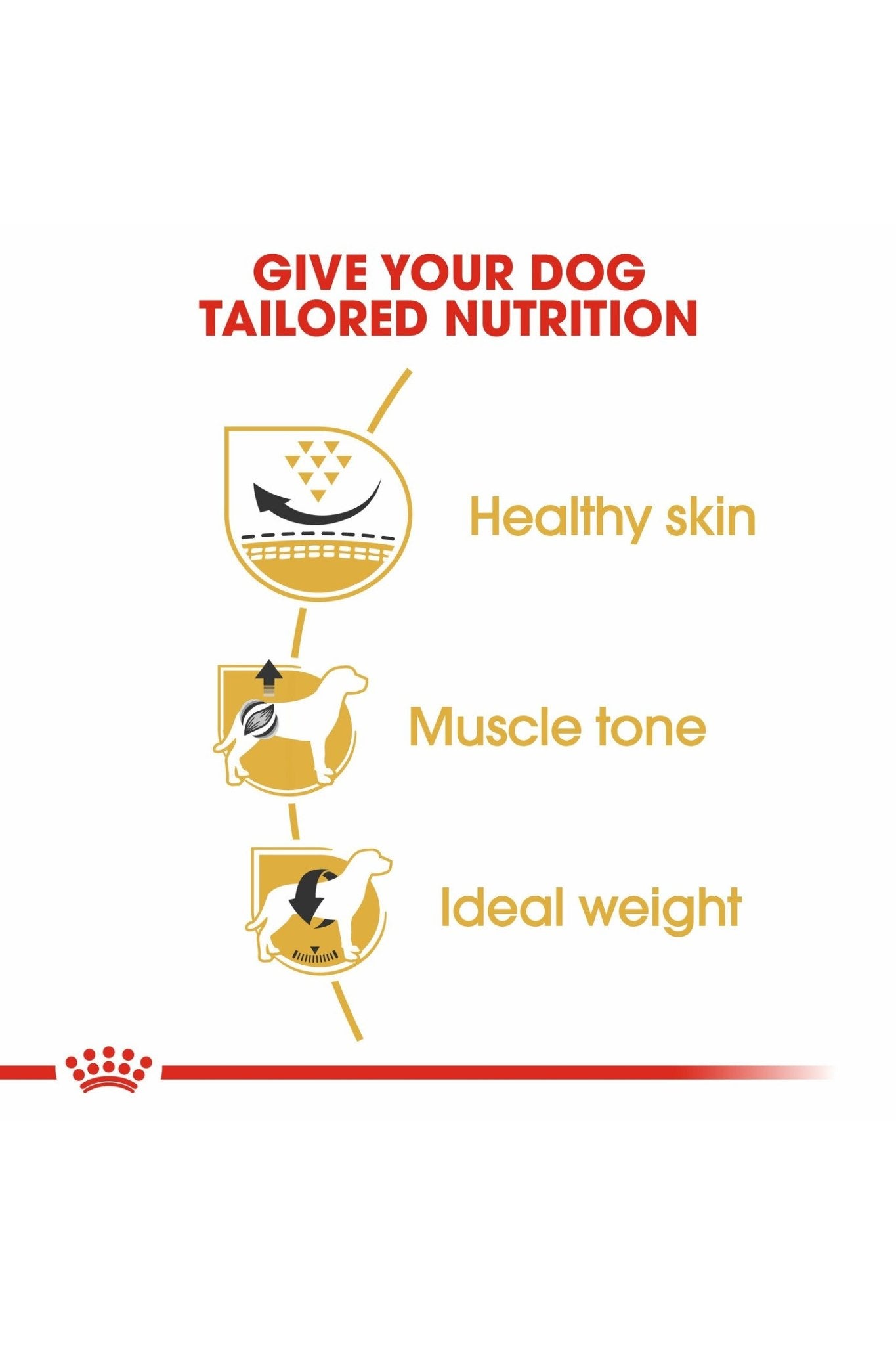 Royal Canin Breed Health Nutrition Pug Adult 7.5 kg