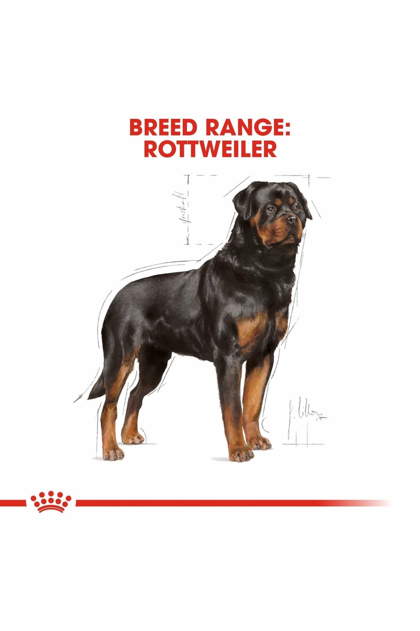 Royal Canin Breed Health Nutrition Rottweiler Adult 12 kg
