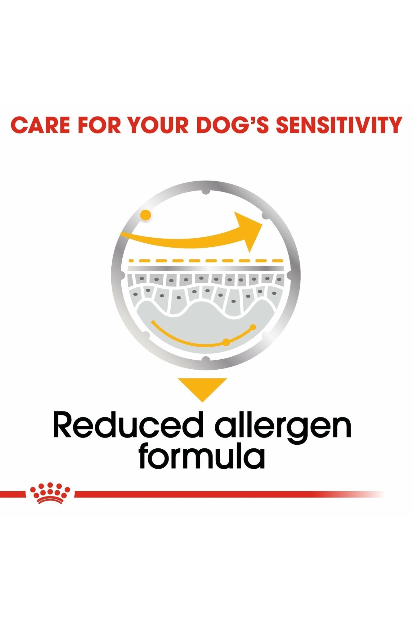 Royal Canin Canine Care Nutrition Dermacomfort (Wet Food - Pouches) 12 x 85 g