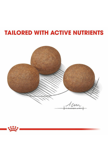 Royal Canin Canine Care Nutrition Maxi Digestive Care 12 kg