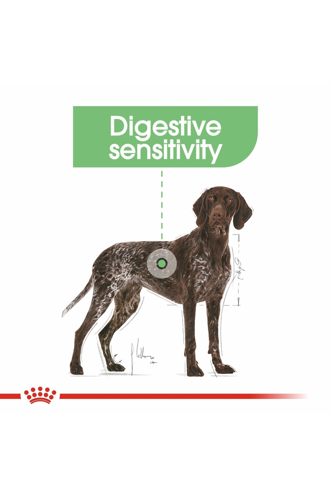 Royal Canin Canine Care Nutrition Maxi Digestive Care 12 kg