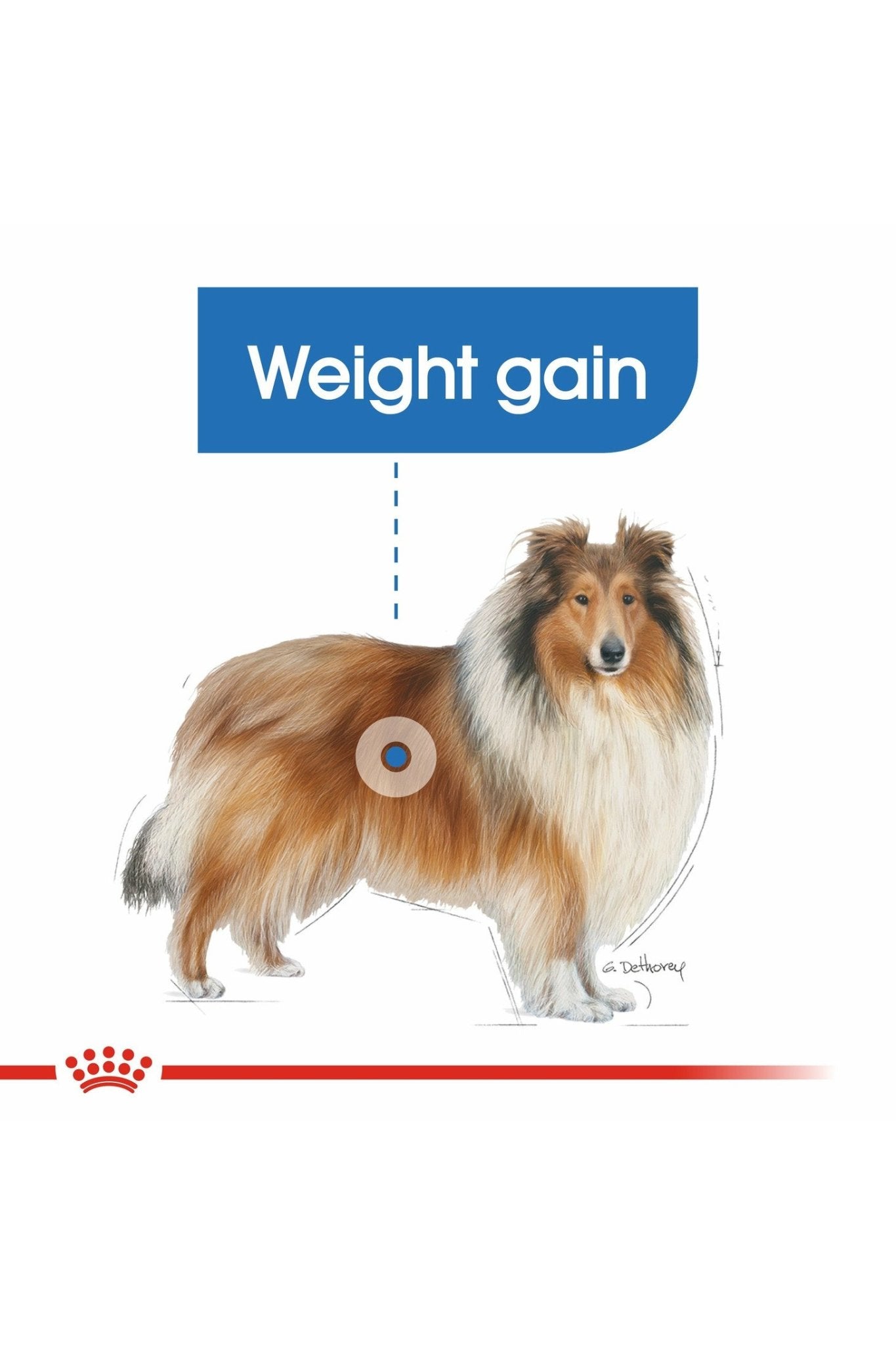 Royal Canin Canine Care Nutrition Maxi Light Weight Care 12 kg