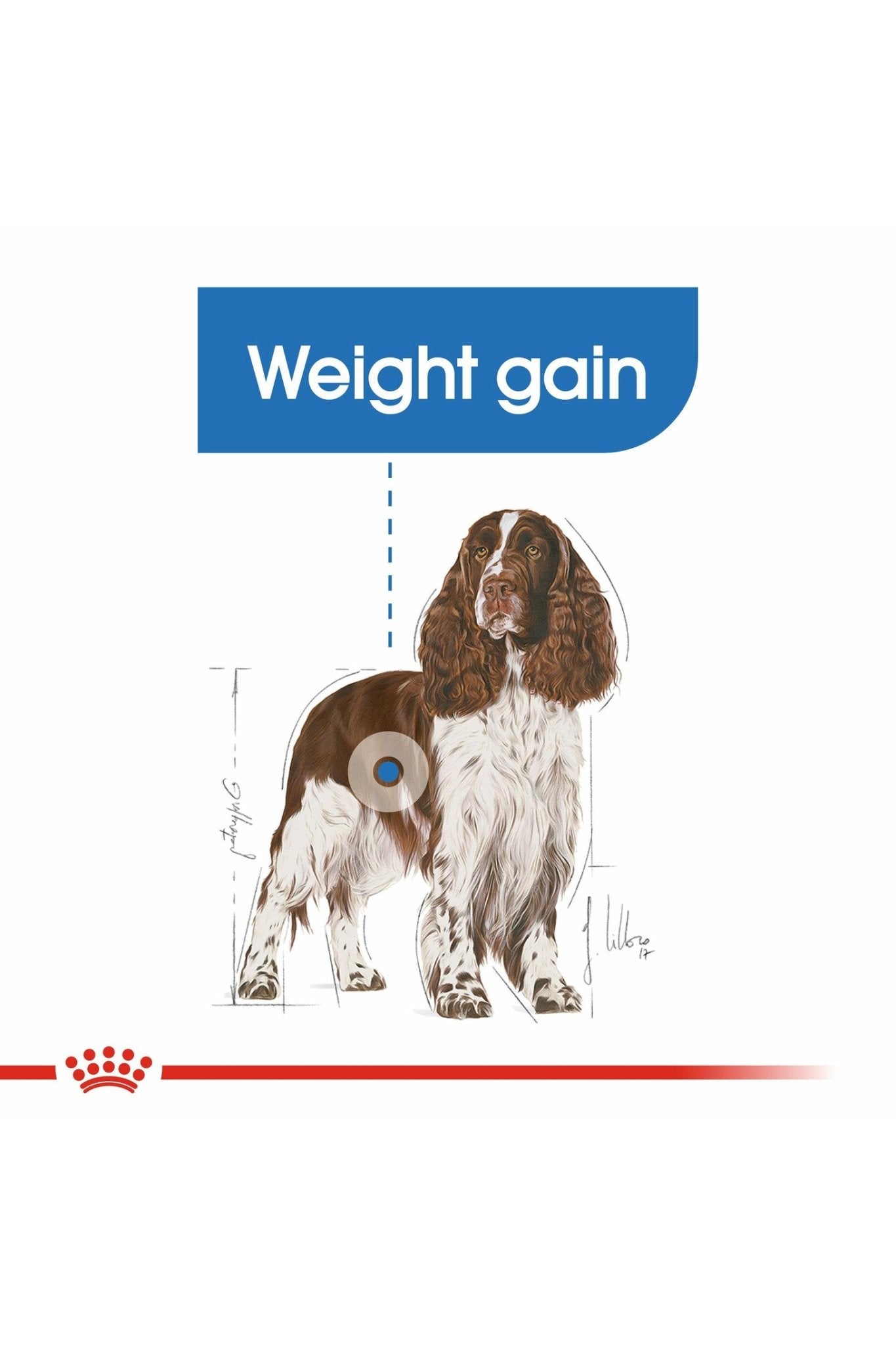 Royal Canin Canine Care Nutrition Medium Light Weight Care 12 kg