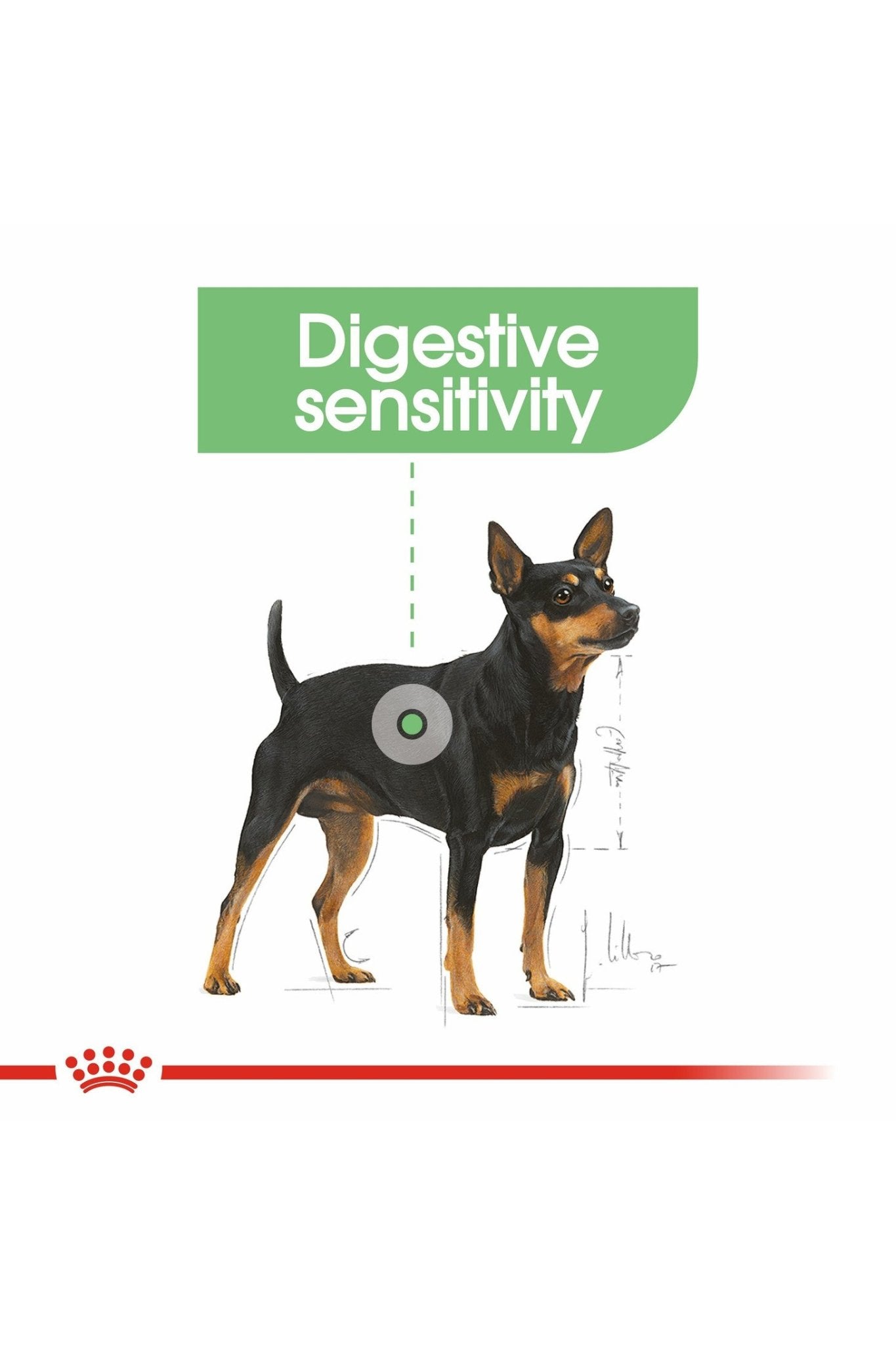 Royal Canin Canine Care Nutrition Mini Digestive Care 3 kg