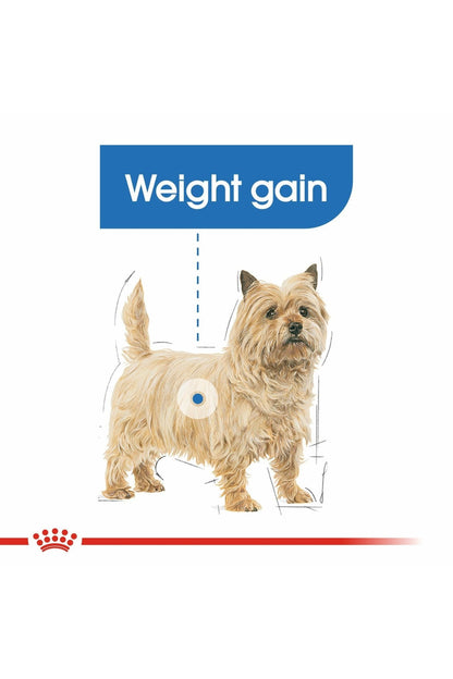 Royal Canin Canine Care Nutrition Mini Light Weight Care 3 kg