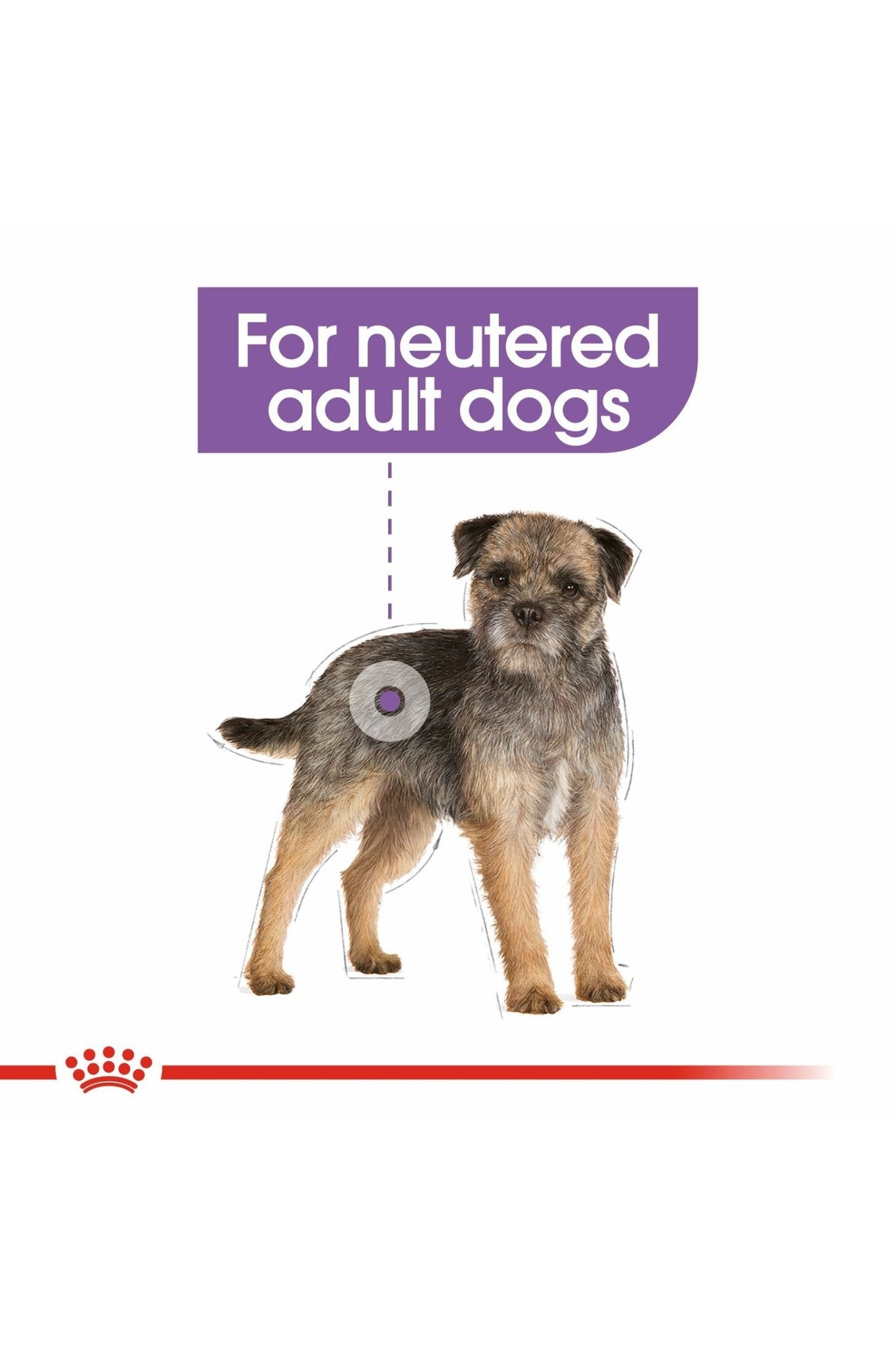 Royal Canin Canine Care Nutrition Mini Sterilized Adult 3 kg