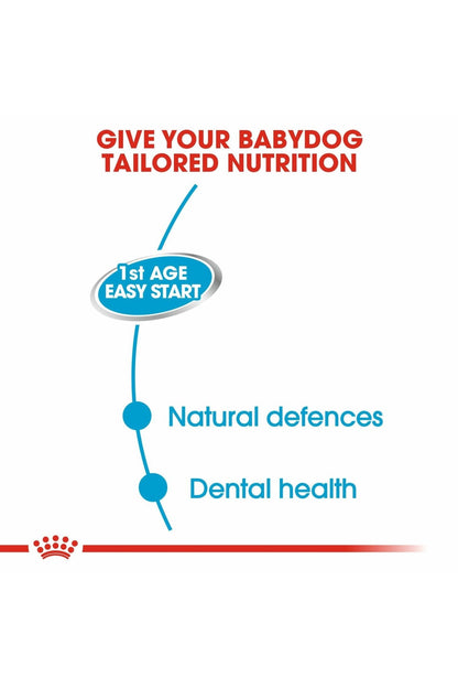 Royal Canin Canine Health Nutrition Starter Mousse (Wet Food - Cans) 12 x 195 g