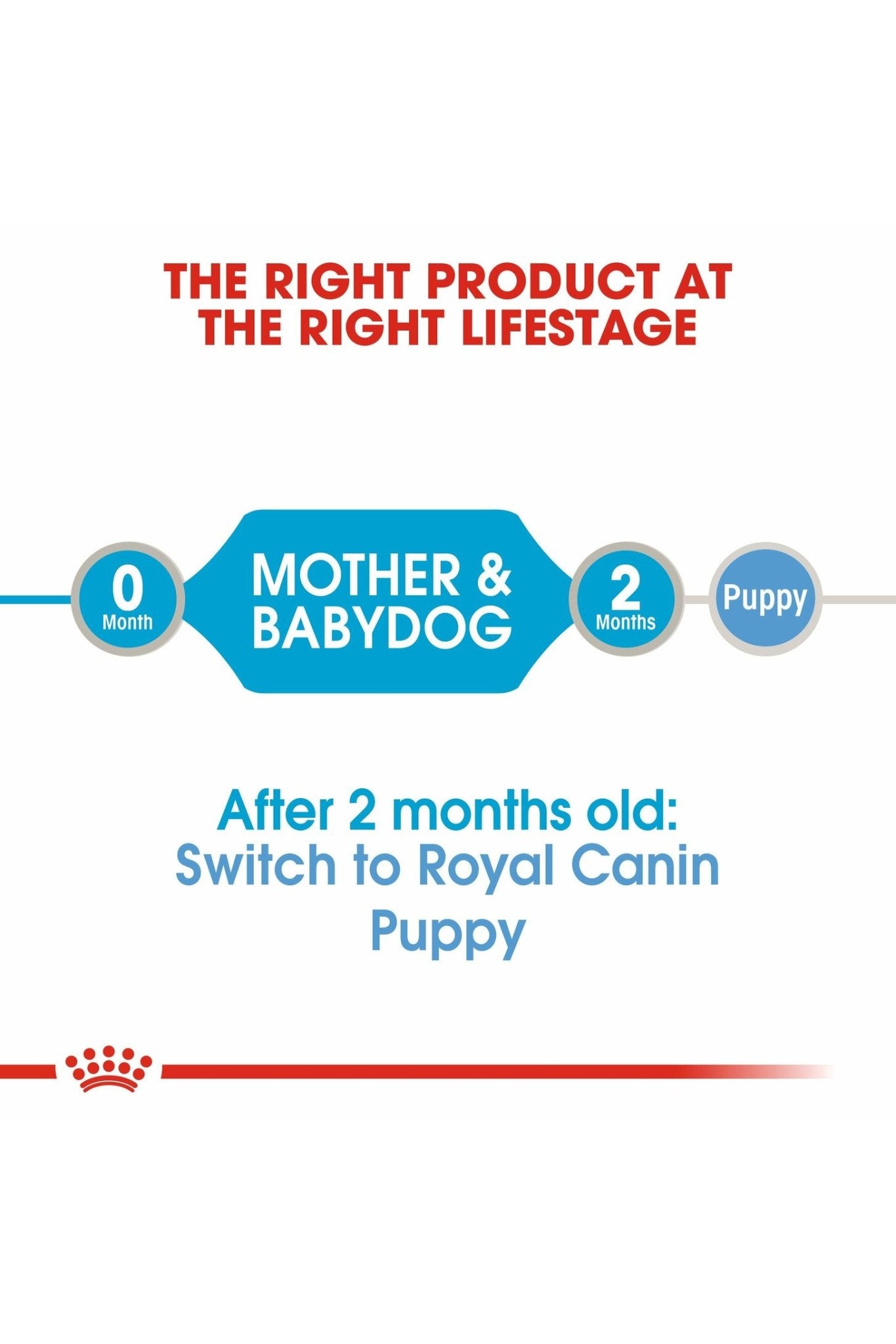 Royal Canin Canine Health Nutrition Starter Mousse (Wet Food - Cans) 12 x 195 g