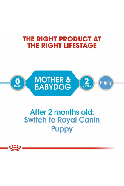 Royal Canin Canine Health Nutrition Starter Mousse (Wet Food - Cans) 12 x 195 g