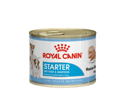 Royal Canin Canine Health Nutrition Starter Mousse (Wet Food - Cans) 12 x 195 g