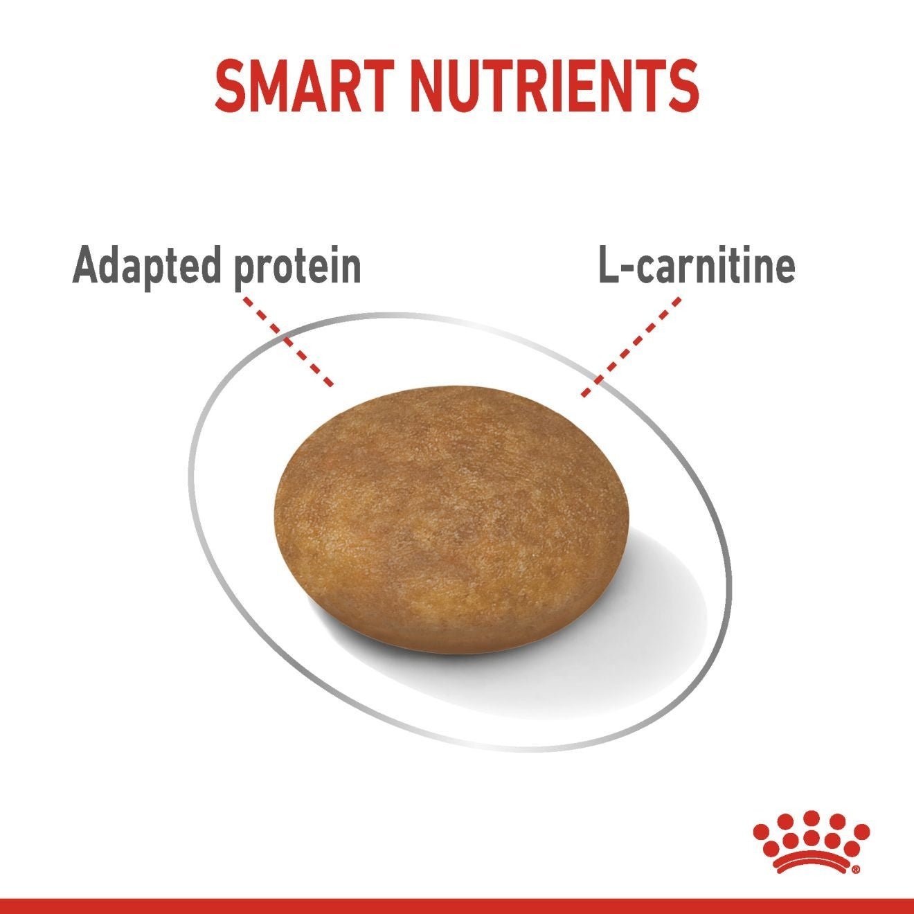 Royal Canin Canine Care Nutrition XS Adult Light Weight Care 1.5 kg