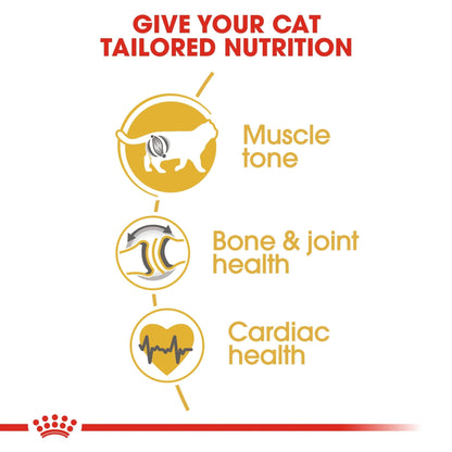 Royal Canin Feline Breed Nutrition British Shorthair 10 kg