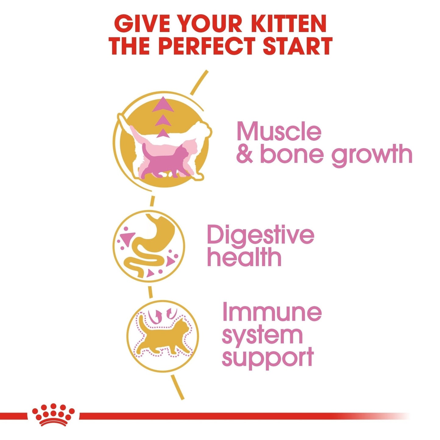 Royal Canin Feline Breed Nutrition British Shorthair Kitten 2 kg