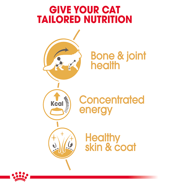 Royal Canin Feline Breed Nutrition Maine Coon (Wet Food - Pouches) 12 x 85 g