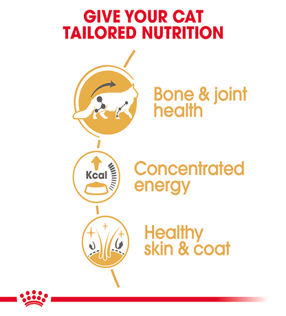 Royal Canin Feline Breed Nutrition Maine Coon (Wet Food - Pouches) 12 x 85 g