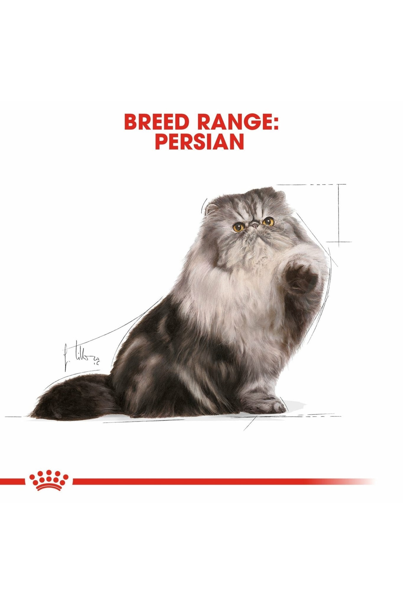 Royal Canin Feline Breed Nutrition Persian (Wet Food - Pouches) 12 x 85 g