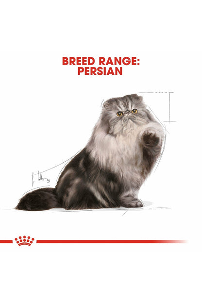 Royal Canin Feline Breed Nutrition Persian (Wet Food - Pouches) 12 x 85 g