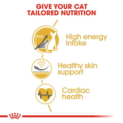 Royal Canin Feline Breed Nutrition Sphynx 2 kg