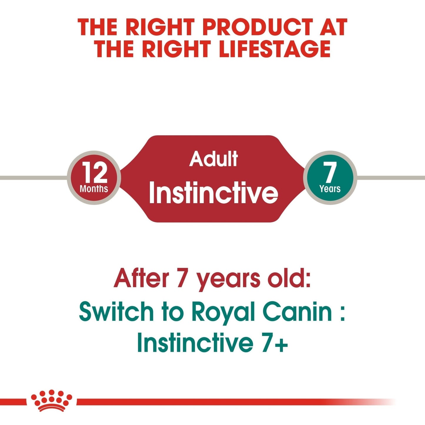 Royal Canin Feline Health Nutrition Instinctive Adult Cats Jelly (Wet Food - Pouches) 12 x 85 g