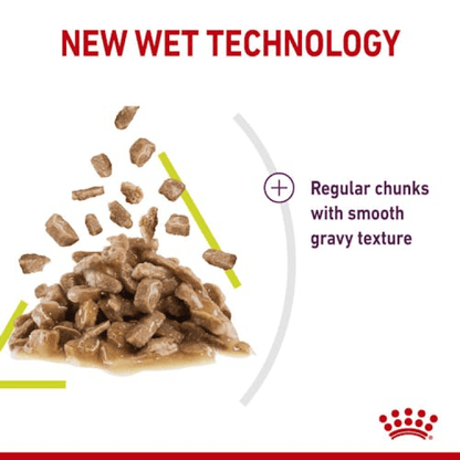 Royal Canin Feline Health Nutrition Sensory Smell Gravy (Wet Food - Pouches) 12 x 85 g