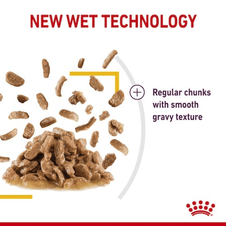 Royal Canin Feline Health Nutrition Sensory Taste Gravy (Wet Food - Pouches) 12 x 85 g