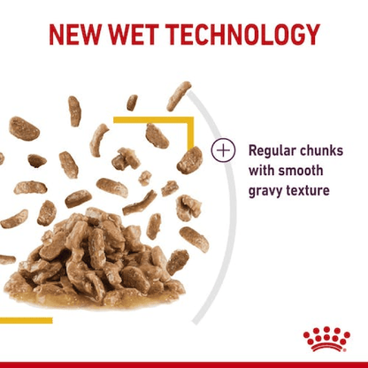 Royal Canin Feline Health Nutrition Sensory Taste Gravy (Wet Food - Pouches) 12 x 85 g
