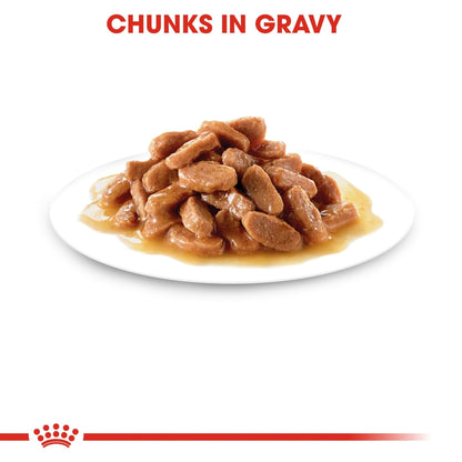 Royal Canin Feline Health Nutrition Kitten Sterilised Gravy (Wet Food - Pouches) 12 x 85 g