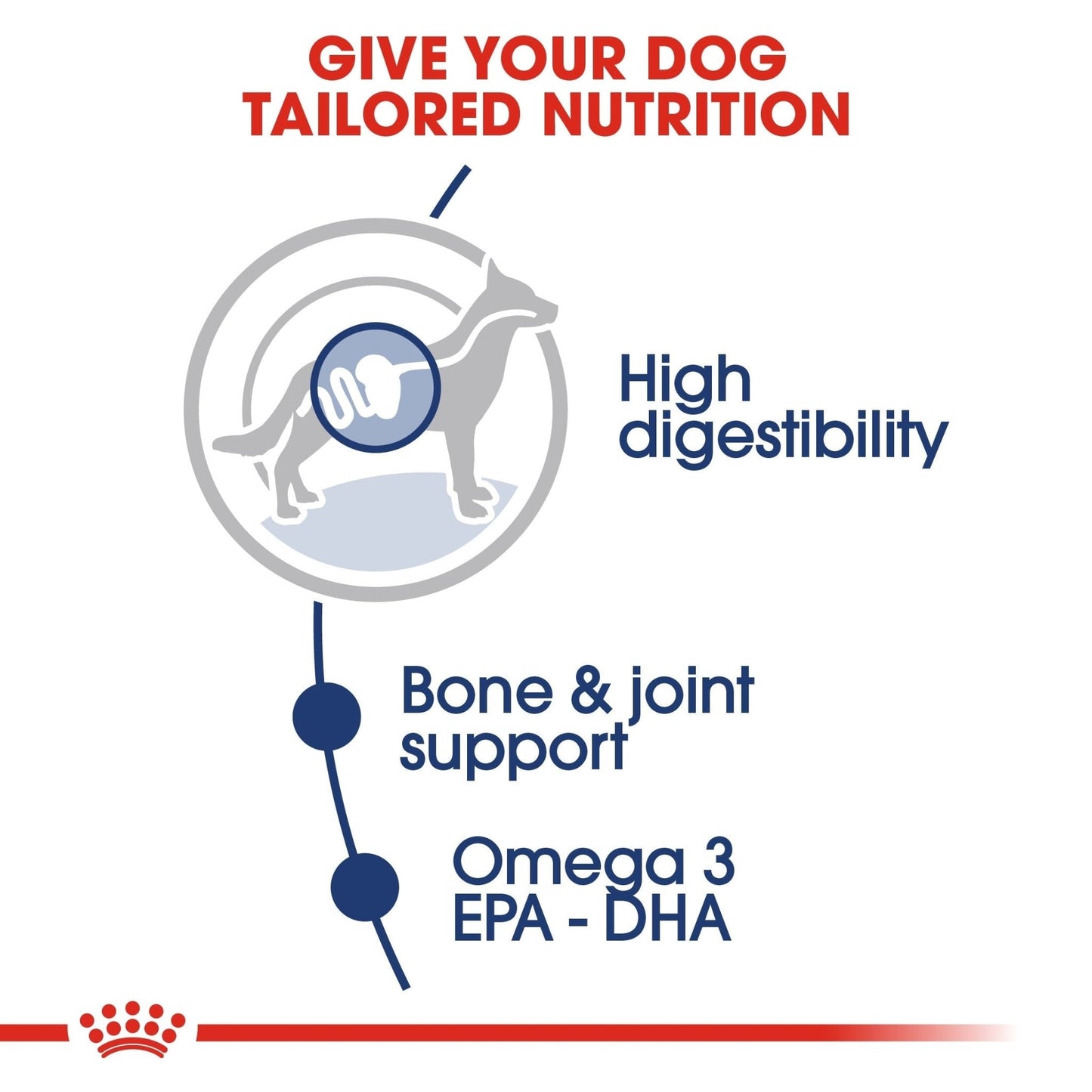 Royal Canin Size Health Nutrition Maxi Adult (Wet Food - Pouches) 10 x 140 g