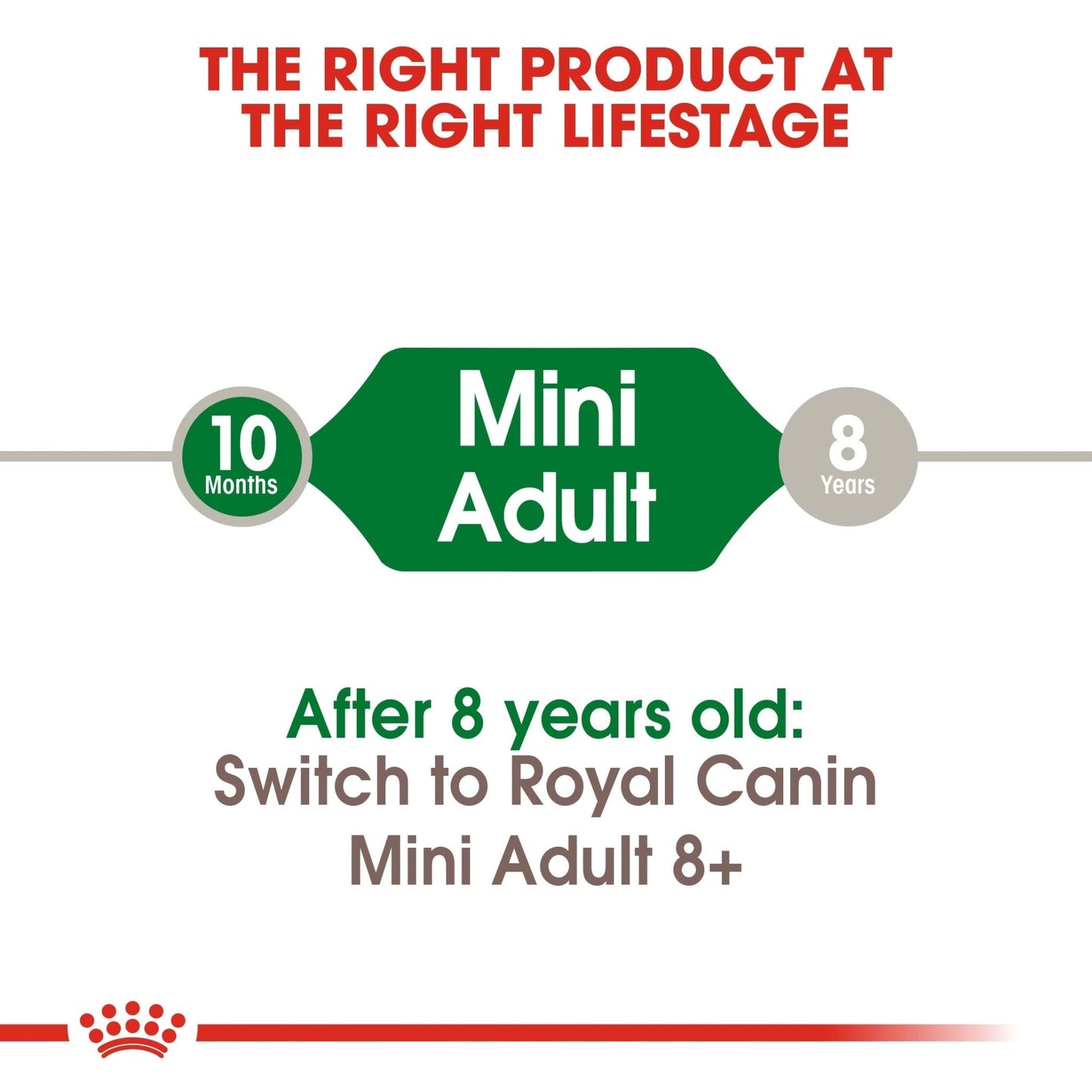 Royal Canin Size Health Nutrition Mini Adult 4 kg