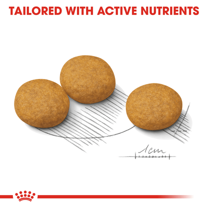 Royal Canin Canine Care Nutrition Medium Dermacomfort 12 kg